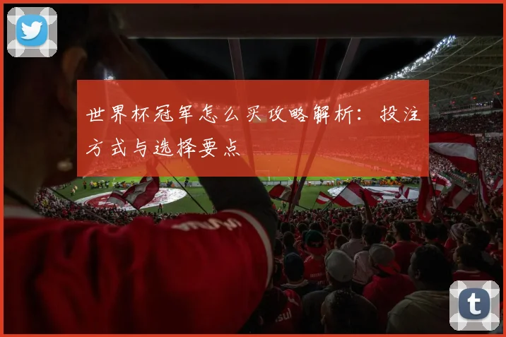 世界杯冠军怎么买攻略解析：投注方式与选择要点