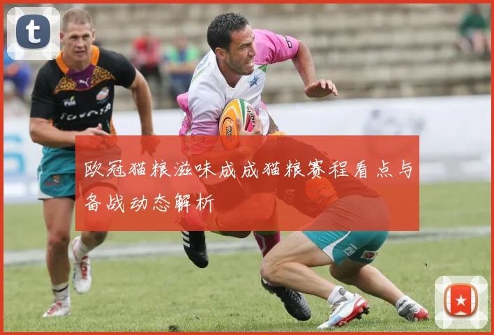 欧冠猫粮滋味成成猫粮赛程看点与备战动态解析