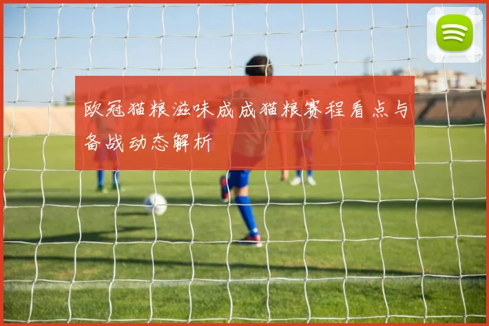 欧冠猫粮滋味成成猫粮赛程看点与备战动态解析