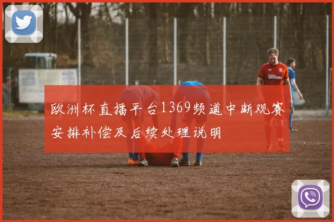 欧洲杯直播平台1369频道中断观赛安排补偿及后续处理说明