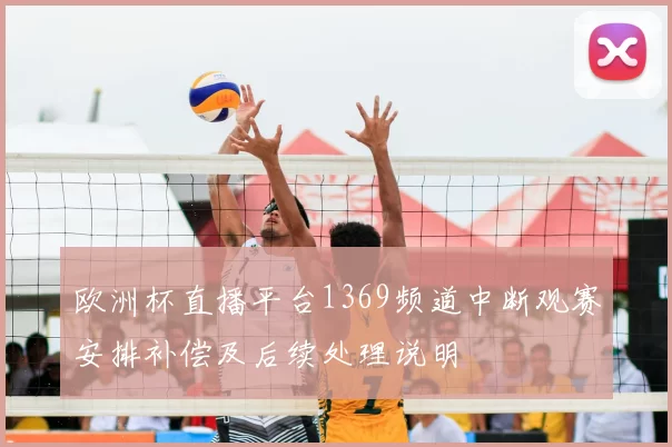 欧洲杯直播平台1369频道中断观赛安排补偿及后续处理说明