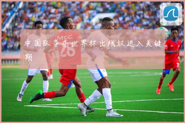 中国队争夺世界杯出线权进入关键期